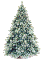 albero - Darmowy animowany GIF