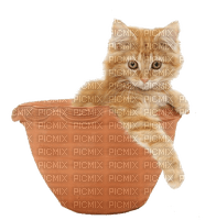 chat idca - 免费PNG