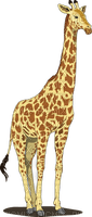Kaz_Creations Giraffe - darmowe png