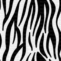 animated white black zebra background - Gratis animerad GIF