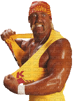 Hulk Hogan - GIF animado grátis