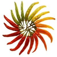 peppers - kostenlos png