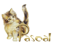 Pascal - Бесплатный анимированный гифка