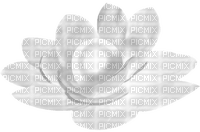 Flower.Pearl.White - Free PNG