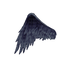 dark angel wing gif - Free animated GIF