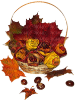 Autumn Fall Flowers - ingyenes png