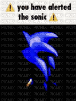 sonic the hedgehog you have alerted - Free animated GIF