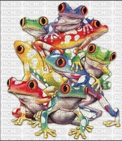 frogs - bezmaksas png