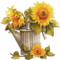 Sunflowers - Free animated GIF