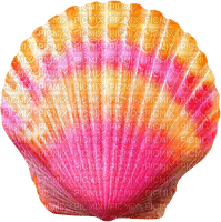 Seashell.Orange.Pink - PNG gratuit