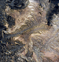 Rena Glitter Background Fantasy Fraktal - GIF เคลื่อนไหวฟรี