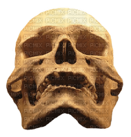 Kaz_Creations Skull - bezmaksas png