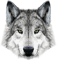 Wolf,deko, animation, gif Pelageya - 免费PNG