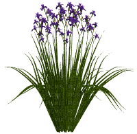 lilac flower - PNG gratuit