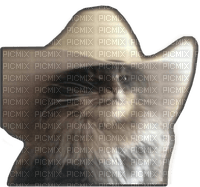 Yee haw cat - δωρεάν png