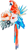soave deco summer bird tropical parrot flowers - бесплатно png