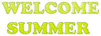 WELCOME SUMMER TEXT GREEN - безплатен png