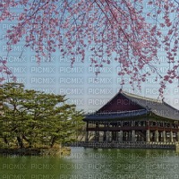 Seoul spring - PNG gratuit