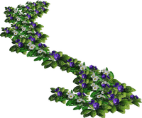 Kwiaty łąka - gratis png