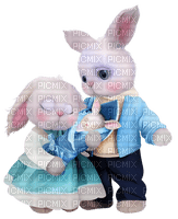 Familia de conejos - nemokama png
