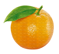 Orange - фрее пнг