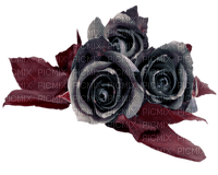 Black rose - nemokama png