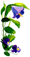 Planta con flores moradas - zadarmo png