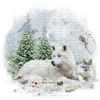 Wolf - Free PNG