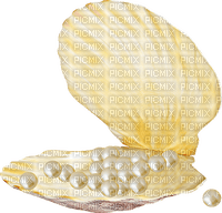 Seashell.Pearls.White - PNG gratuit