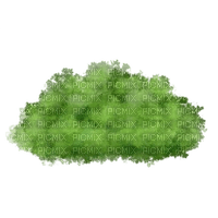 buisson - Free PNG