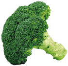 Kaz_Creations Vegetables - 無料png