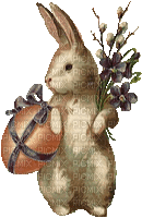 Ostern paques easter - Kostenlose animierte GIFs