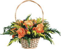 Kaz_Creations Flowers Flower Vase Plant - фрее пнг