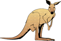 kangourou - PNG gratuit