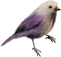 Kaz_Creations Purple Violet Deco Birds Bird - bezmaksas png