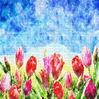 kikkapink background spring field flowers - Bezmaksas animēts GIF