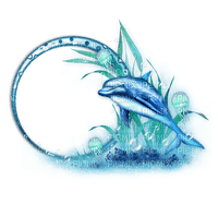 dolphin Bb2 - 免费PNG