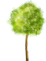 Frühlings Baum - бесплатно png