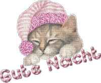 munot - gute nacht katze - good night cat - bonne nuit chat