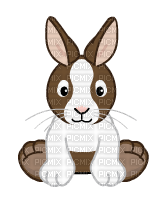 webkinz dutch bunny cute - безплатен png
