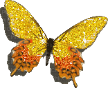 mariposa - Gratis animeret GIF