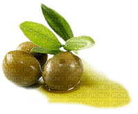 Oliven in Öl