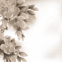Y.A.M._Spring Summer background  sepia - 無料png