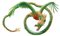 minou-FeatheredSerpent-drake - zdarma png