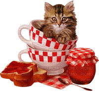 kikkapink spring red summer cat jam - besplatni png