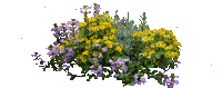 Flowers - Kostenlose animierte GIFs