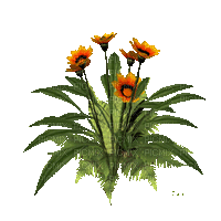 цветы - GIF animate gratis