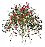 flowers - zdarma png