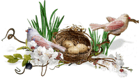 Kaz_Creations Flowers Flower Deco Nest Birds Eggs - PNG gratuit