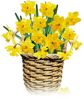 soave deco spring flowers daffodils yellow brown - ücretsiz png